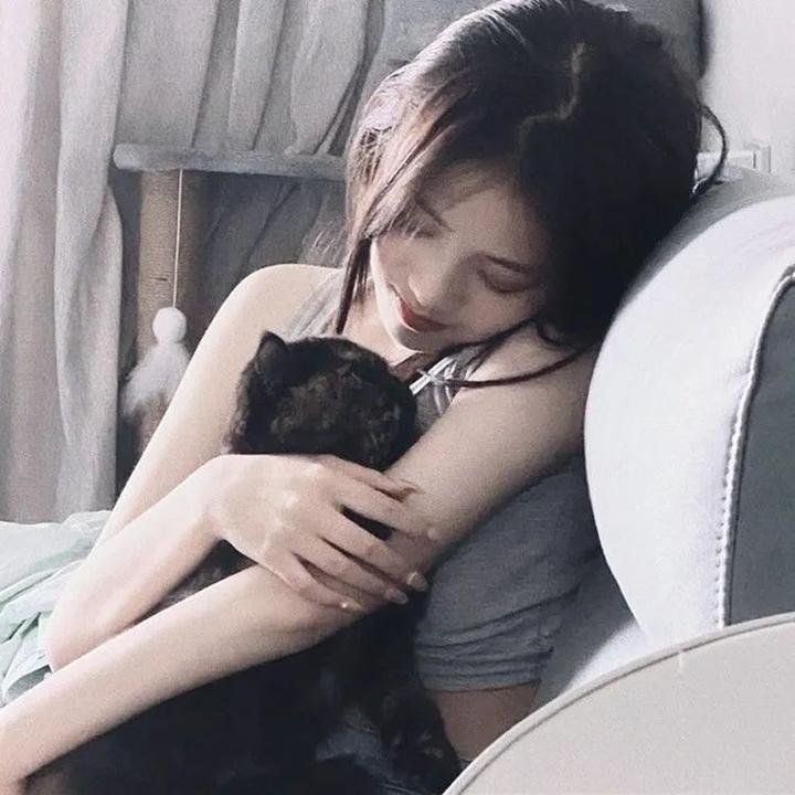 冰川时代2：融冰之灾2006